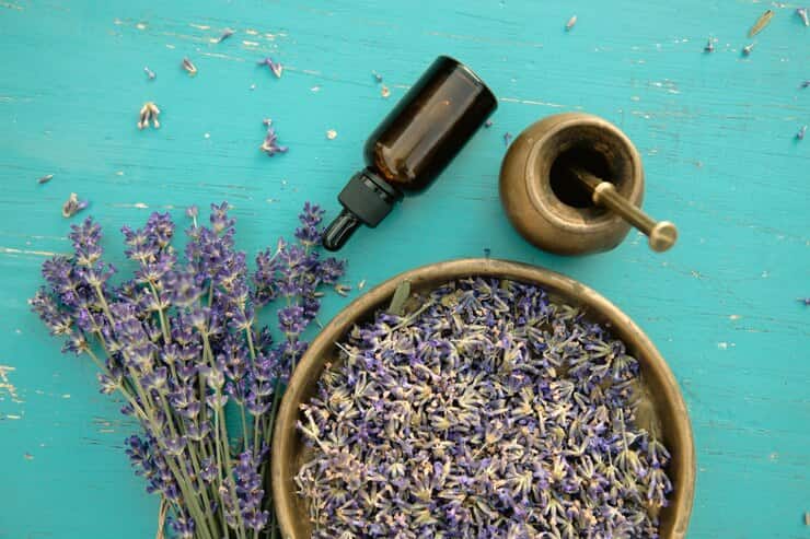 تصویر 3 از قیمت خرید روغن لوندر اسطو خودوس + فروش ویژه